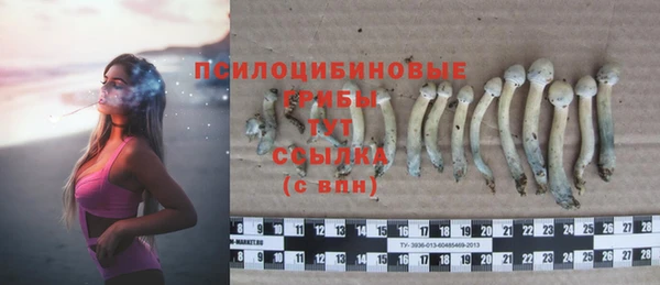 хмурый Верея