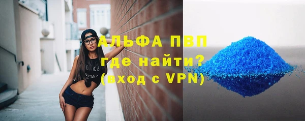 хмурый Верея