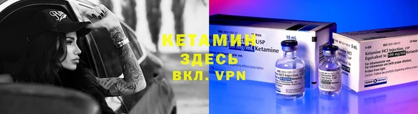 хмурый Верея