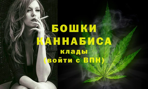 хмурый Верея
