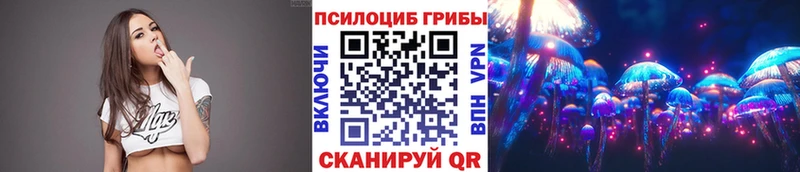 где купить наркоту  Нижний Тагил  Галлюциногенные грибы прущие грибы 